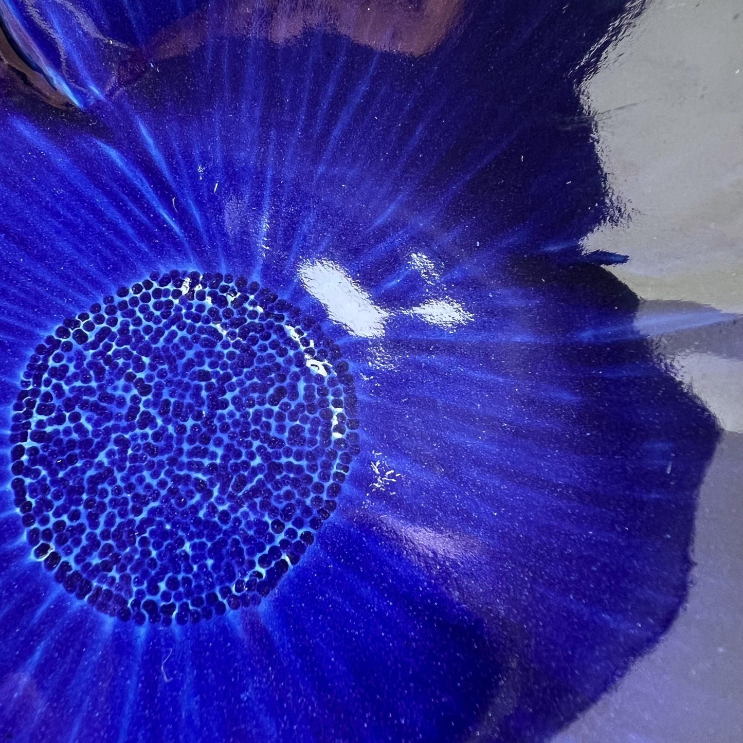 Wedgwood Blue Porcelain Poppy Bowl
