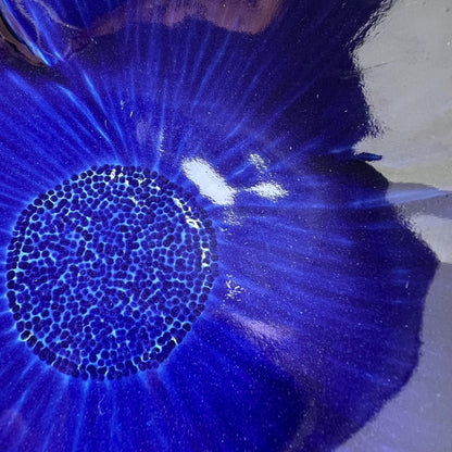 Wedgwood Blue Porcelain Poppy Bowl